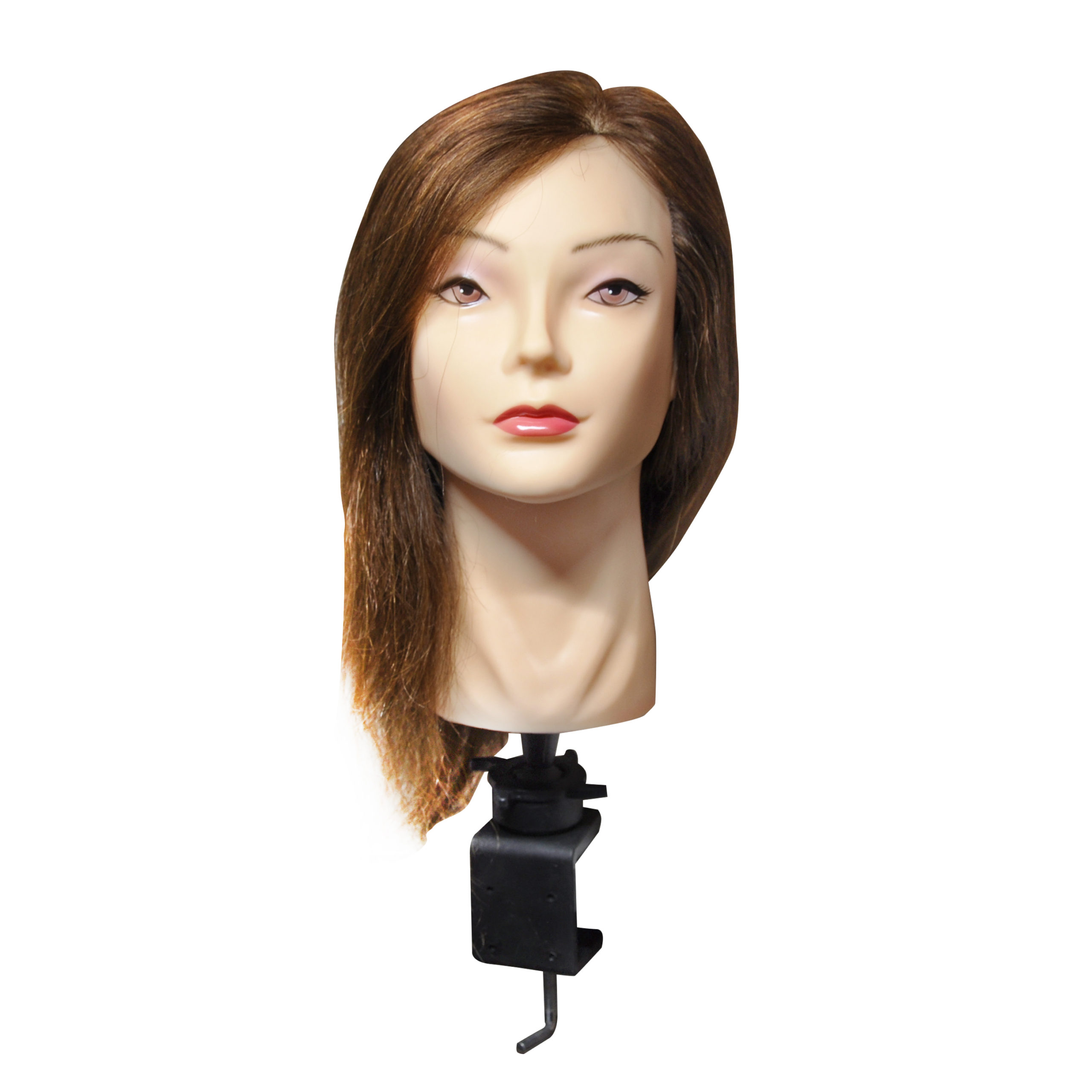 CABEZA DE PRACTICA 100% NATURAL 35,5 CM CASTAÑO